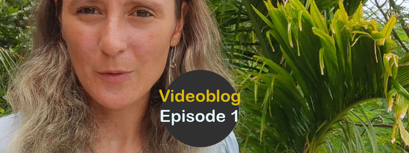 Videoblog Maria Dolgopolova: 10 September 2023